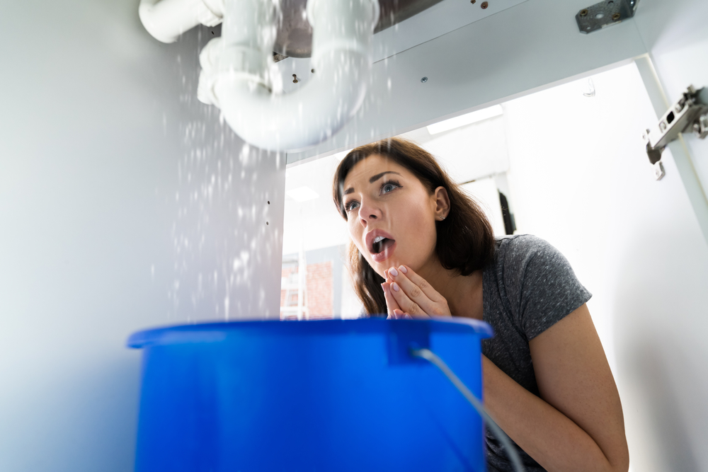 Emergency Plumbing Problems You Should Never Ignore